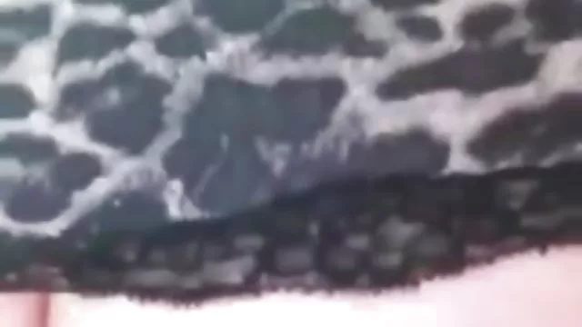 بزرگسالان بدون ثبت نام سبزه, هاردکور پخش فیلمسوپر